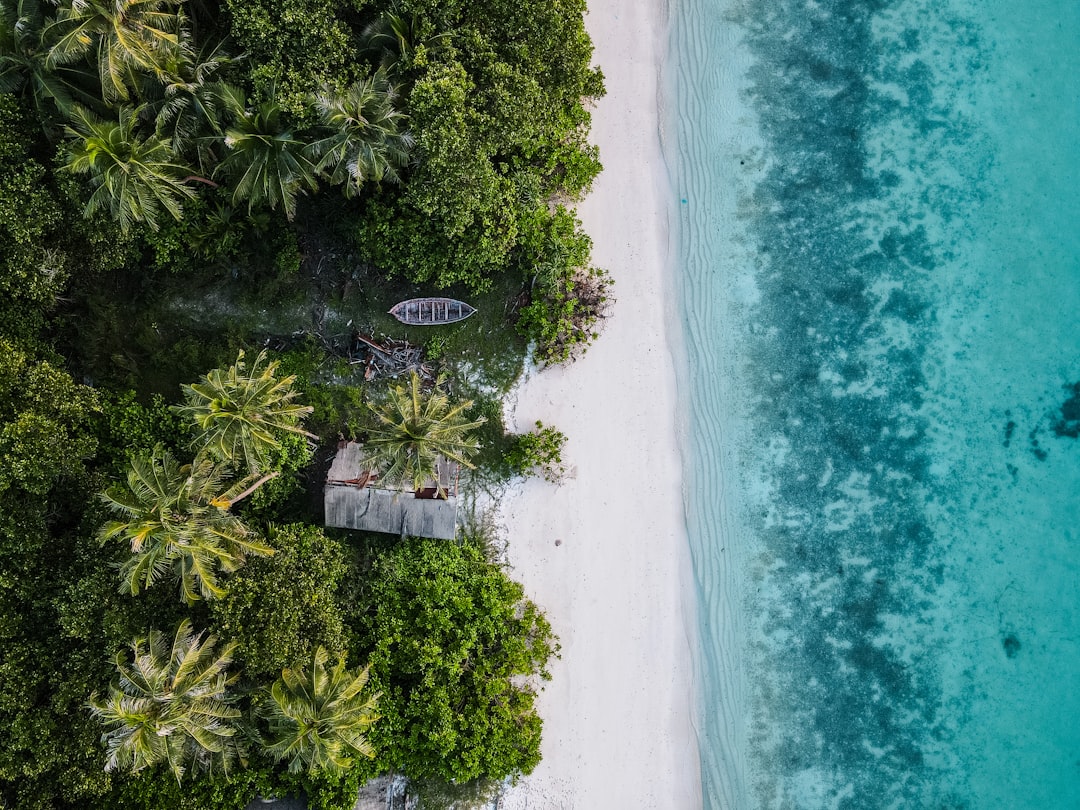 Eco-friendly accommodation