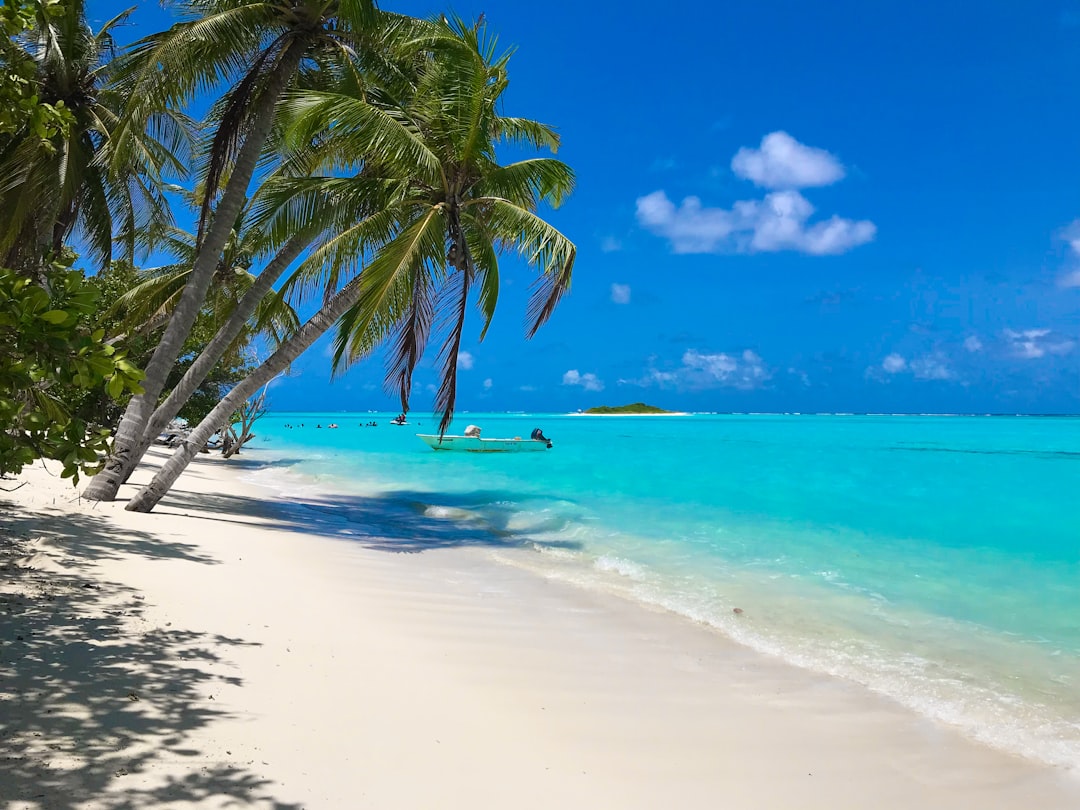 North American destination